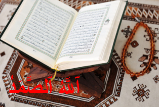 Al-Baqarah The Cow  البقرة